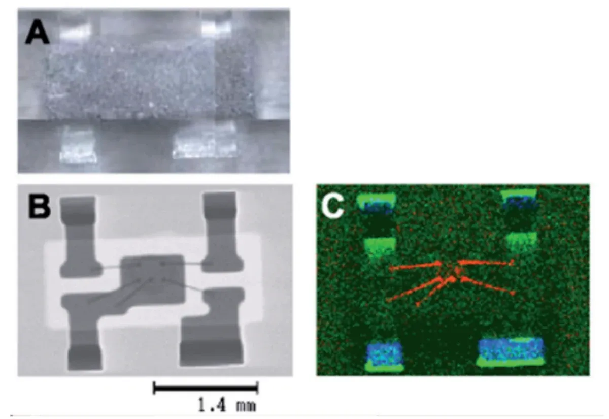 Optical, transmitted X-ray and elemental maps of a resin-embedded chip